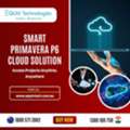 Primavera P6 Cloud Hosting Services For Businesses