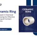 Reliable Ceramic Tower Packing For Industrial Plants