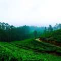 Team Outing Places In Alleppey