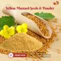 ZAR 01,  Yellow Mustard Seeds Wholesale &ndash; Premium Quality