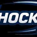 Hockey Lessons In Hamilton