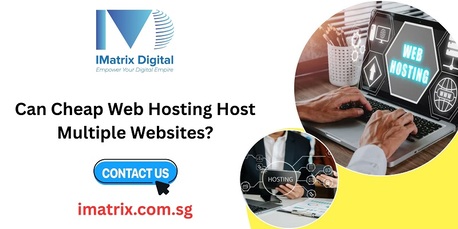 Singapore, Business, Can Cheap Web Hosting Host Multiple Websites?