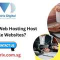 Can Cheap Web Hosting Host Multiple Websites?