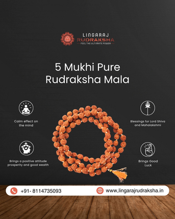 Bhubaneswar, Health & Beauty Items, Rudraksha Shop In Bangalore