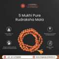 Rudraksha Shop In Bangalore