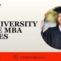 Jiit University Online MBA Courses