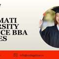 Sabarmati University Distance BBA Courses