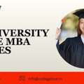 VIT University Online MBA Courses