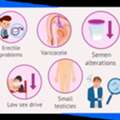 Best Male Infertility Treatment Doctors In Delhi