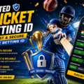INR 2000,  Trusted Cricket Betting ID &ndash; For Fast & Secure Online Betting ID