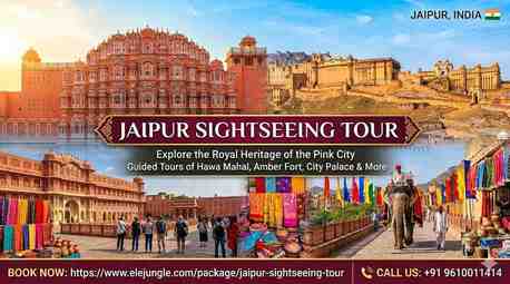 Jaipur, Travel, Discover The Magic: Your Ultimate Jaipur Sightseeing Tour