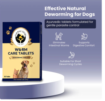 Gurgaon, Pet Sitting, THE HEALTH CHECK YOUR DOG CAN&rsquo;T ASK FOR