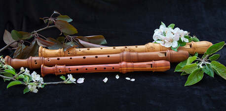Sydney, Musical Instruments, From First Notes To Performances, Shop Recorders Online