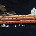 From First Notes To Performances, Shop Recorders Online