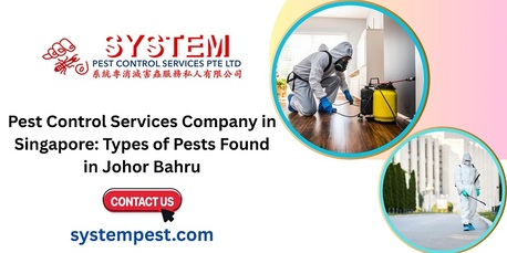 Singapore, Business, Pest Control Services Company In Singapore: Types Of Pests Found In Johor Bahru