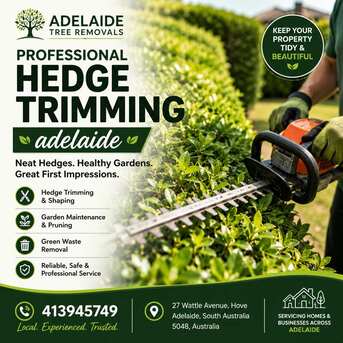 Sydney, Farm/Garden, Professional Hedge Trimming Adelaide Services For Neat Outdoor Spaces
