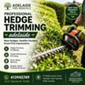 Professional Hedge Trimming Adelaide Services For Neat Outdoor Spaces