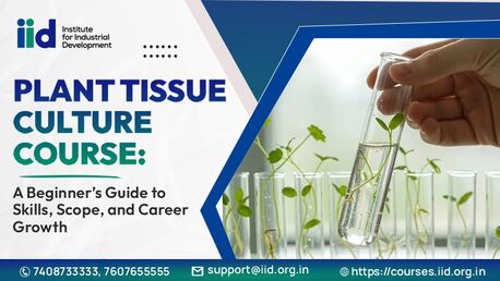 Lucknow, Business, Start A Plant Tissue Culture Small Business From Home In India