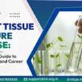 Start A Plant Tissue Culture Small Business From Home In India