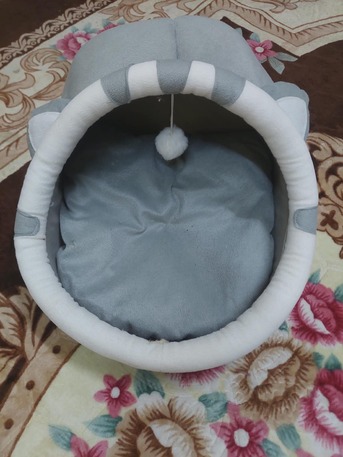 Jubail, Household Items, SAR 170,  Cat Supplies In Excellent Condition For Sale