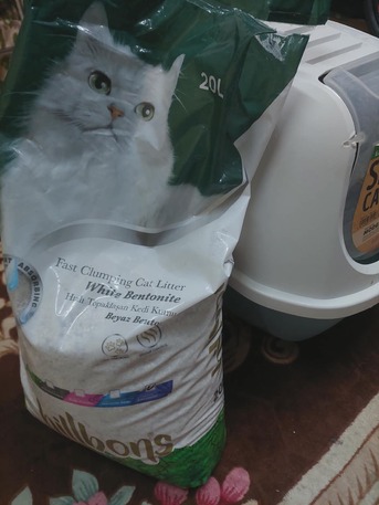 Jubail, Household Items, SAR 170,  Cat Supplies In Excellent Condition For Sale