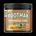 The Best Fertilizer For Root Growth For Healthy Plants &ndash; Buy Rootmax