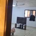 SAR 11000/year,  1 BR,  Single Room For Rent At Dammam