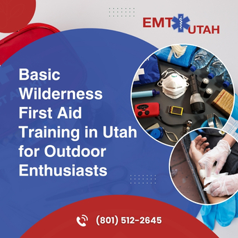New York, Education, Basic Wilderness First Aid Training In Utah For Outdoor Enthusiasts