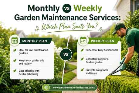 Auckland, Farm/Garden, Monthly Vs Weekly Garden Maintenance Services: Which Plan Suits You?
