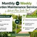 Monthly Vs Weekly Garden Maintenance Services: Which Plan Suits You?