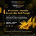 Best B2B Portal For Business Growth In Maharashtra