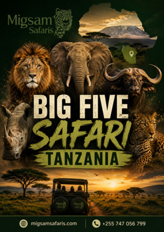Dar es Salaam, Travel, Experience Best Big Five Safari Tanzania