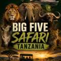 Experience Best Big Five Safari Tanzania