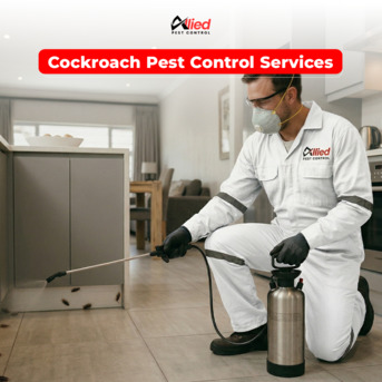 Dubai, Pest Control, Arshad Allied Pest Control Services