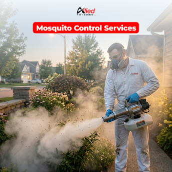 Dubai, Pest Control, Arshad Allied Pest Control Services