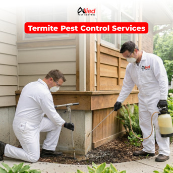 Dubai, Pest Control, Arshad Allied Pest Control Services
