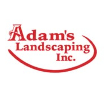 New York, Business, Adam