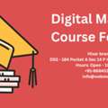 Digital Marketing Course In Hisar | 100% Job Placement