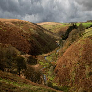 London, Farm/Garden, Best Exmoor Holidays For Nature And Countryside Lovers