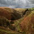 Best Exmoor Holidays For Nature And Countryside Lovers