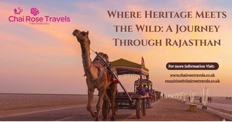 London, Travel, Where Heritage Meets The Wild: A Journey Through Rajasthan