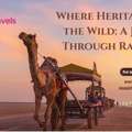 Where Heritage Meets The Wild: A Journey Through Rajasthan
