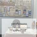 Pet Parenting | Pet Planner App - PetsNmore