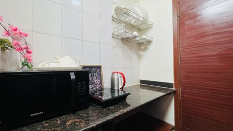New Delhi, Apts/Flats Wanted, INR 4578/day,  Furnished,  Studio,  450 Sq. Feet,  Cozy Studio With Balcony - Green Park And HKV