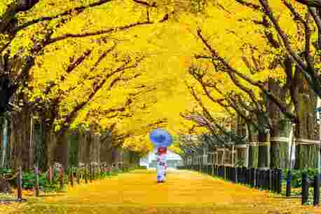 London, Travel, Discover Tokyo Holidays: Culture, Technology And Unforgettable City Experiences