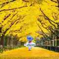 Discover Tokyo Holidays: Culture, Technology And Unforgettable City Experiences