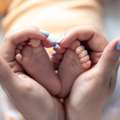 Browse Trusted Surrogate Mother Profiles And Connect Today