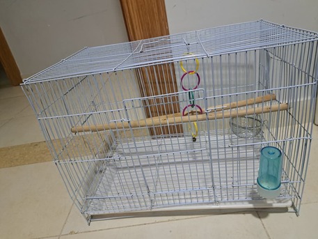 Al Hamadaniyyah, Pet Supplies, Birds Cage