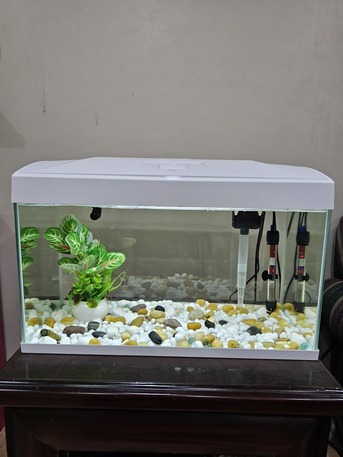 Manama, Pet Supplies, BHD 50,  Aquarium For Sale