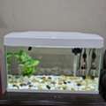 BHD 50,  Aquarium For Sale